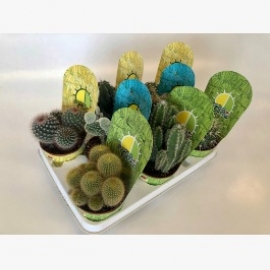 Cactacea Cactus Pot Cover 10,5